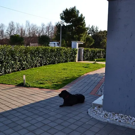 Clementa Apartman Zára