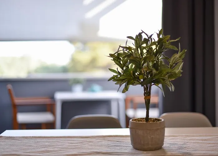 Clementa Apartamento