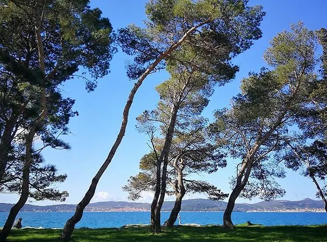 Διαμέρισμα Clementa